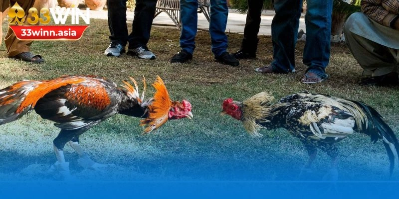 Bật mí các thuật ngữ về kỹ thuật