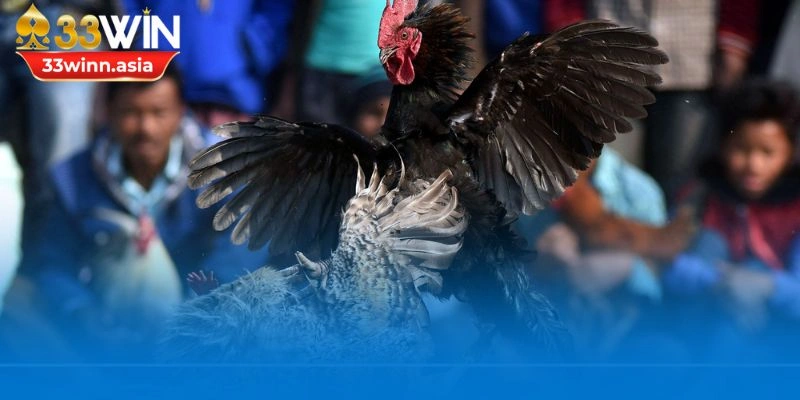 Cần có chế độ luyện tập khoa học để giúp tăng cường cơ bắp