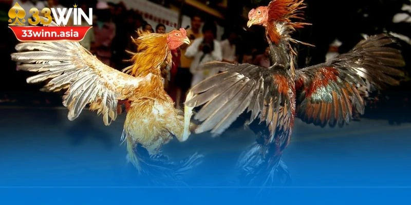 Chia sẻ các bí kíp dự đoán hiệu quả, an toàn