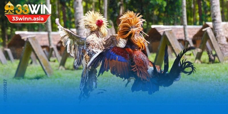 Nhà cái sở hữu nhiều ưu điểm nổi bật